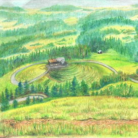 Раздолье_цв_каранд