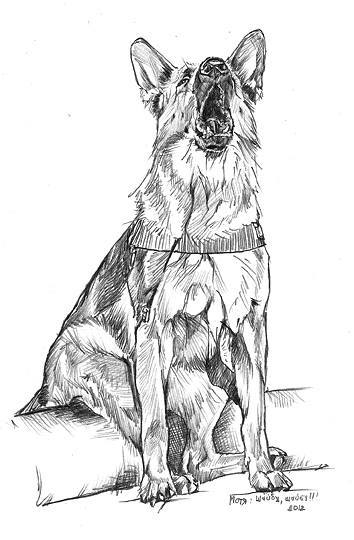 Мотя, шайбу, шайбу!!