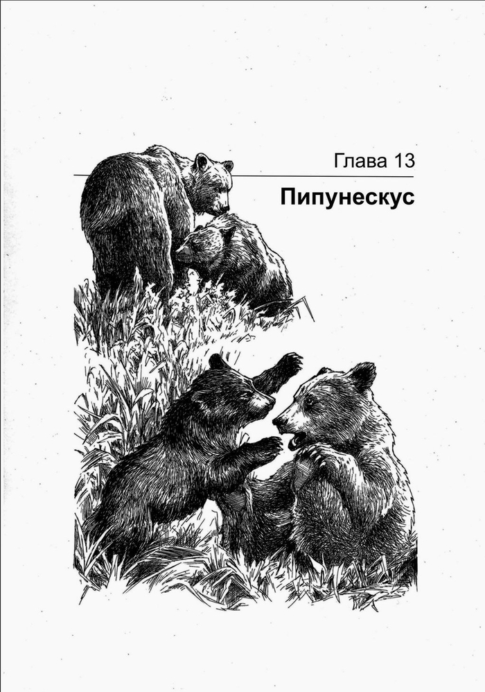 ГРИЗЛИ. Пипунескус