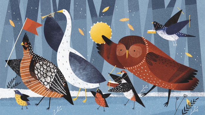 Птицы в лесу