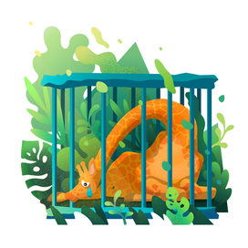 Жираф в передвижном зоопарке