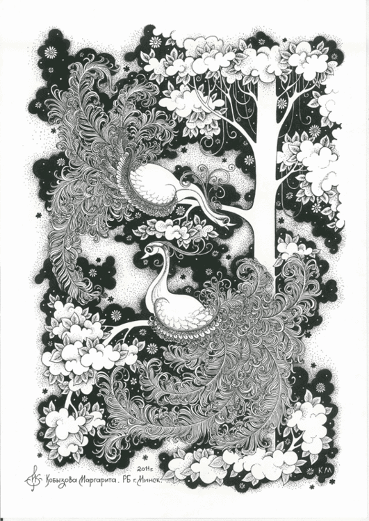 Райские птицы