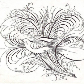 мечты сбываются