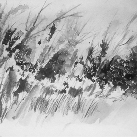 Зацвело на хуторке Деда Галушки