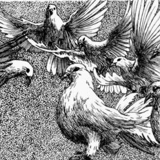 Семирамида. 3-Ф