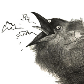 это моя ворона