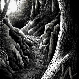 Лесная тропа