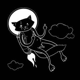 Space cat