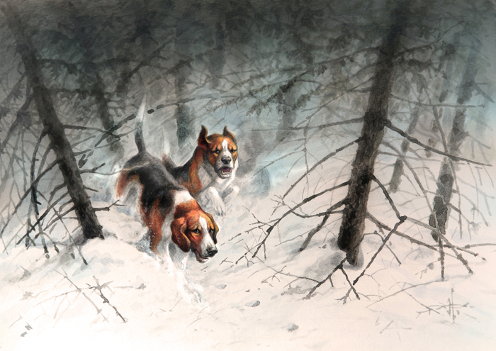 Гончие собаки. Русская пегая гончая.