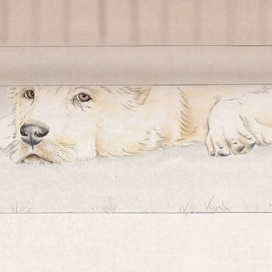 Любите своих питомцев