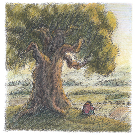 Теплый летний день