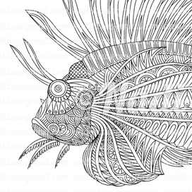 Рыбы - медитативная раскраска антистресс
