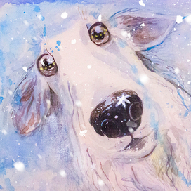 первый снег