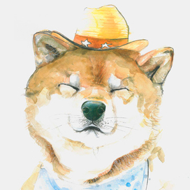 Сиба-ину- шериф