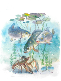 Рассказ рака