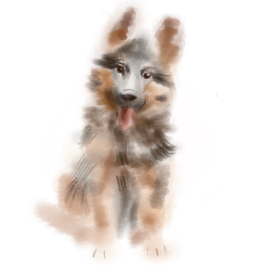 Иллюстрация овчарки