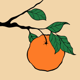 Апельсин