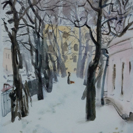 Академический сад зимой.