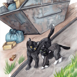 Кот и кошка. Любовь