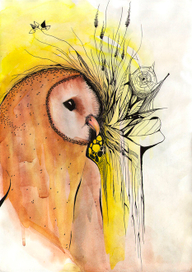 Птичья душа