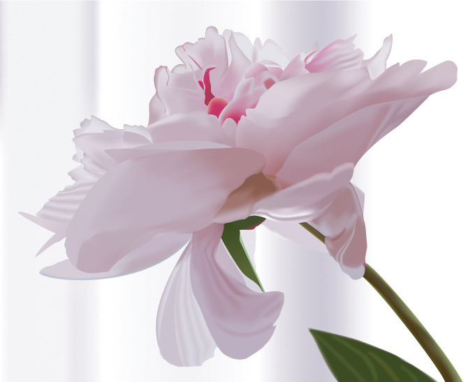 цветок (трейс)