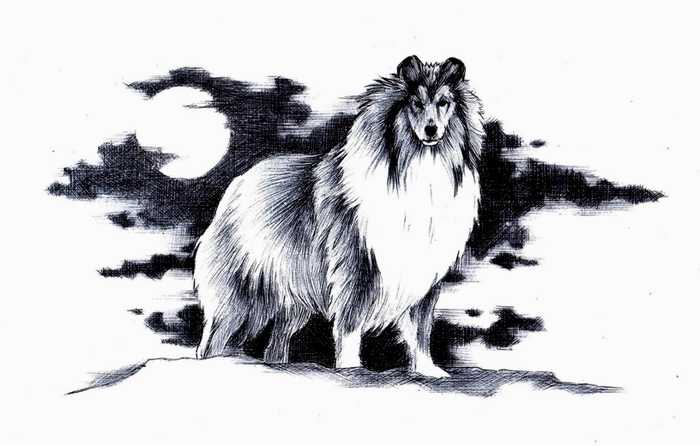 Молниеносный. 5-0