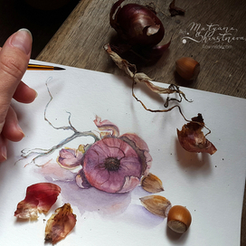 Крымский лук