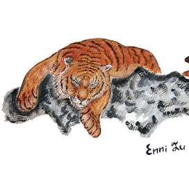 Chinese Tiger