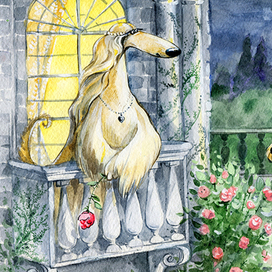 Серия «Праздники». Два терьера и афган. День всех влюбленных.