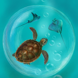 Bubbles пузыри