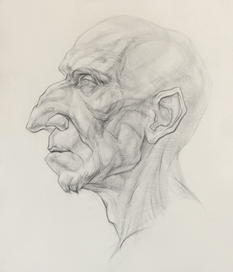 Рисунок головы