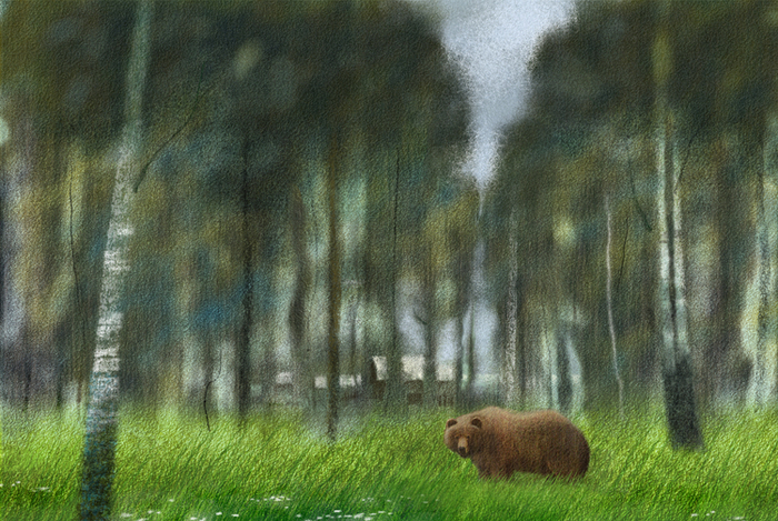 Сибирь - край непуганых медведей