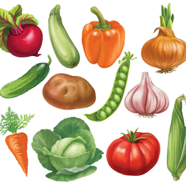 Овощи
