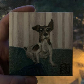 Собака Ника