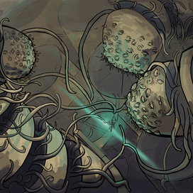 Нападение червей