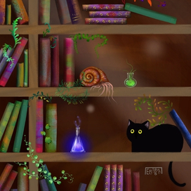 странная библиотека