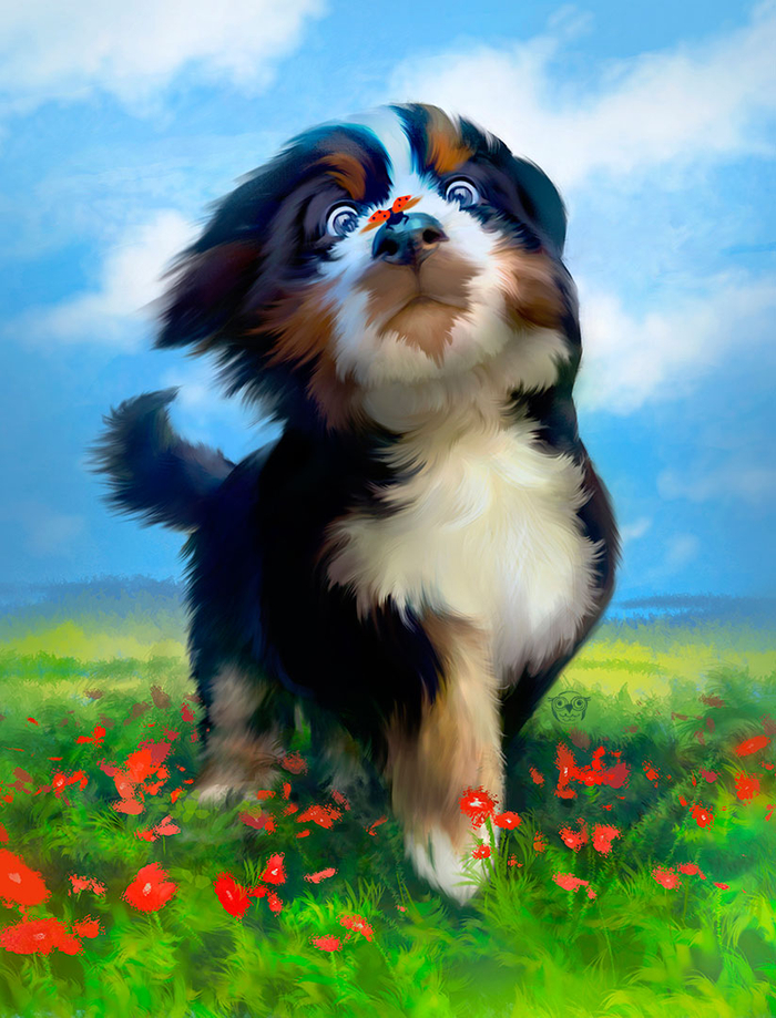 Неожиданная встреча