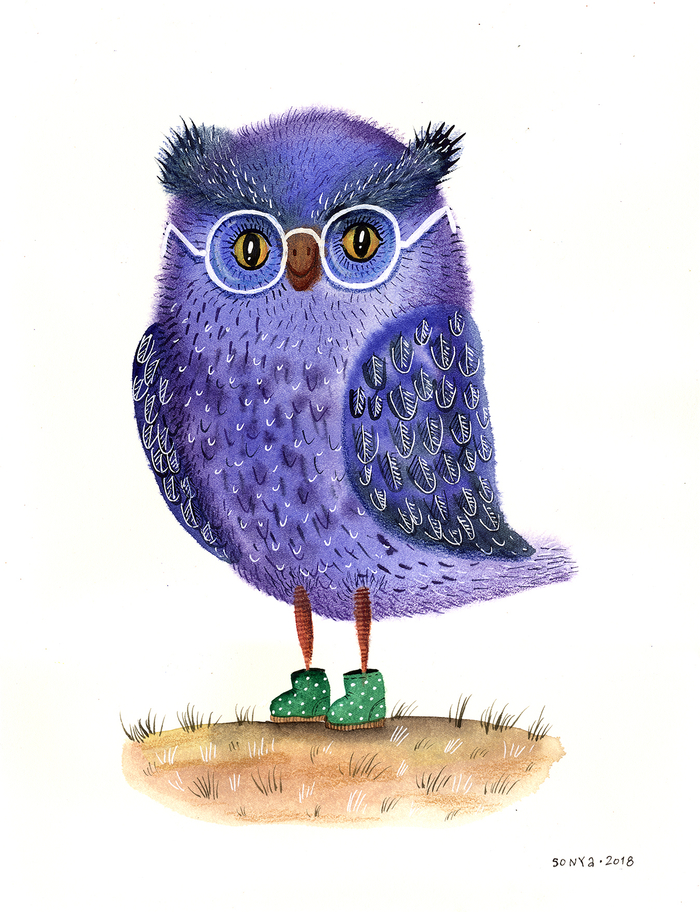 Blue owl