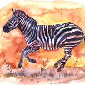 Иллюстрации для азбуки