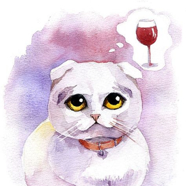 Котик думает о вине 