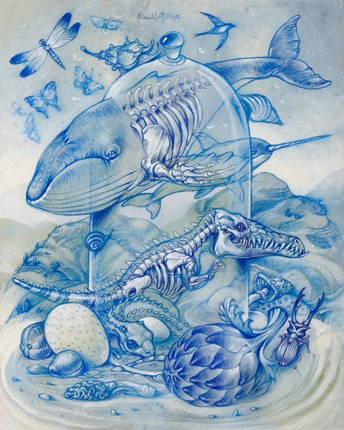 серия Редкие виды