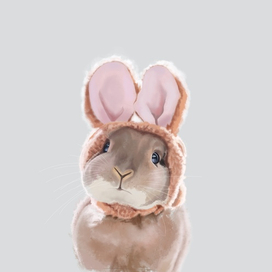 Милый кролик