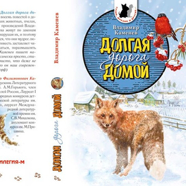 "Долгая дорога домой" (обложка книги)