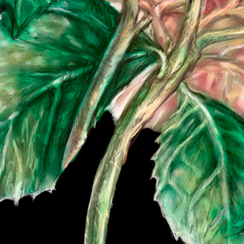 cтепень детализации