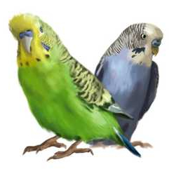 на упаковку