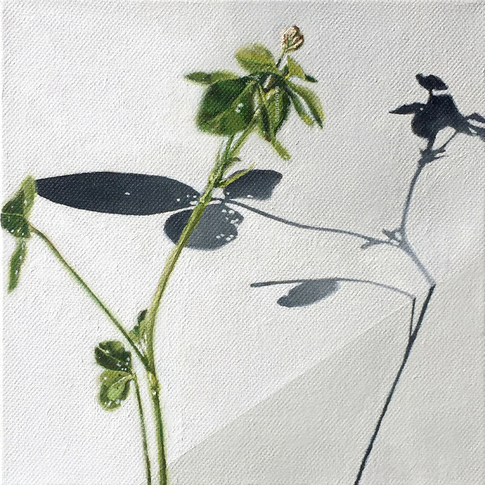 Клевер 3. Геометрия и ботаника. Современный цветок