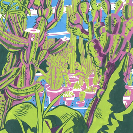 Субтропики. В глубинах. 