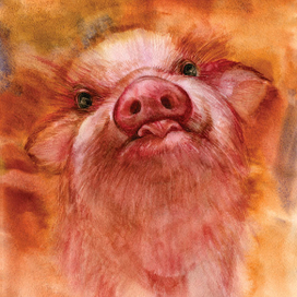 Из серии 12 свинок