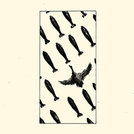 Иллюстрации к книге Александра Панчина "Апофения"