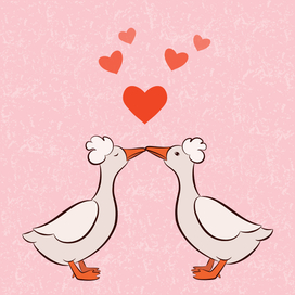 Хохлатые утки